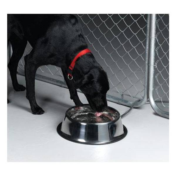 Allied Precision Stainless Steel Heated Pet Bowl